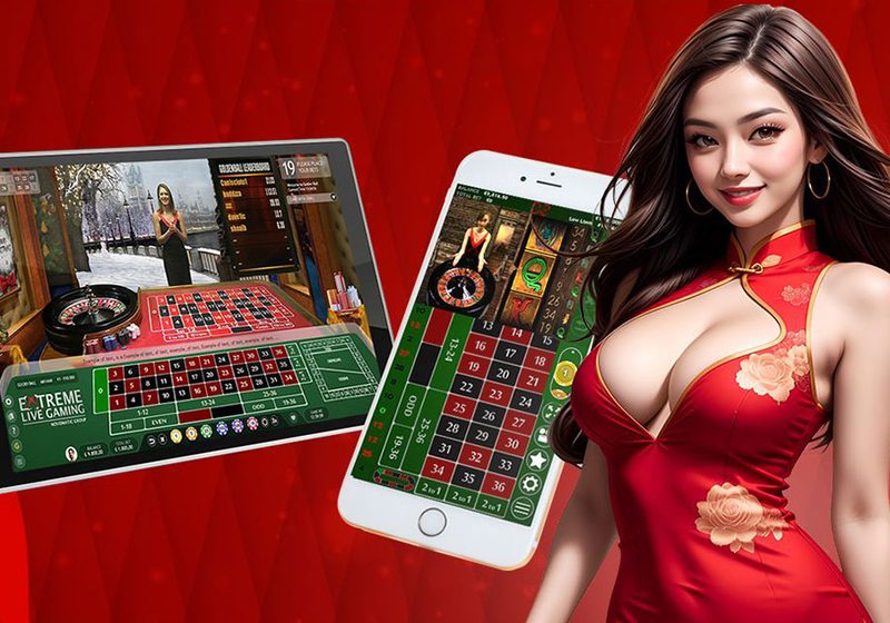 Tra cứu quyền lợi thành viên tại QN88